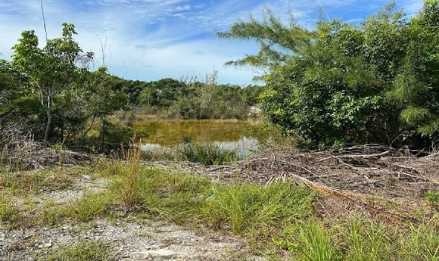 LOVE HILL, ANDROS, The Bahamas — photo 3