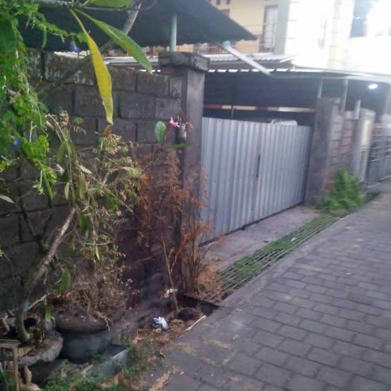 Studio house in Denpasar — photo 1