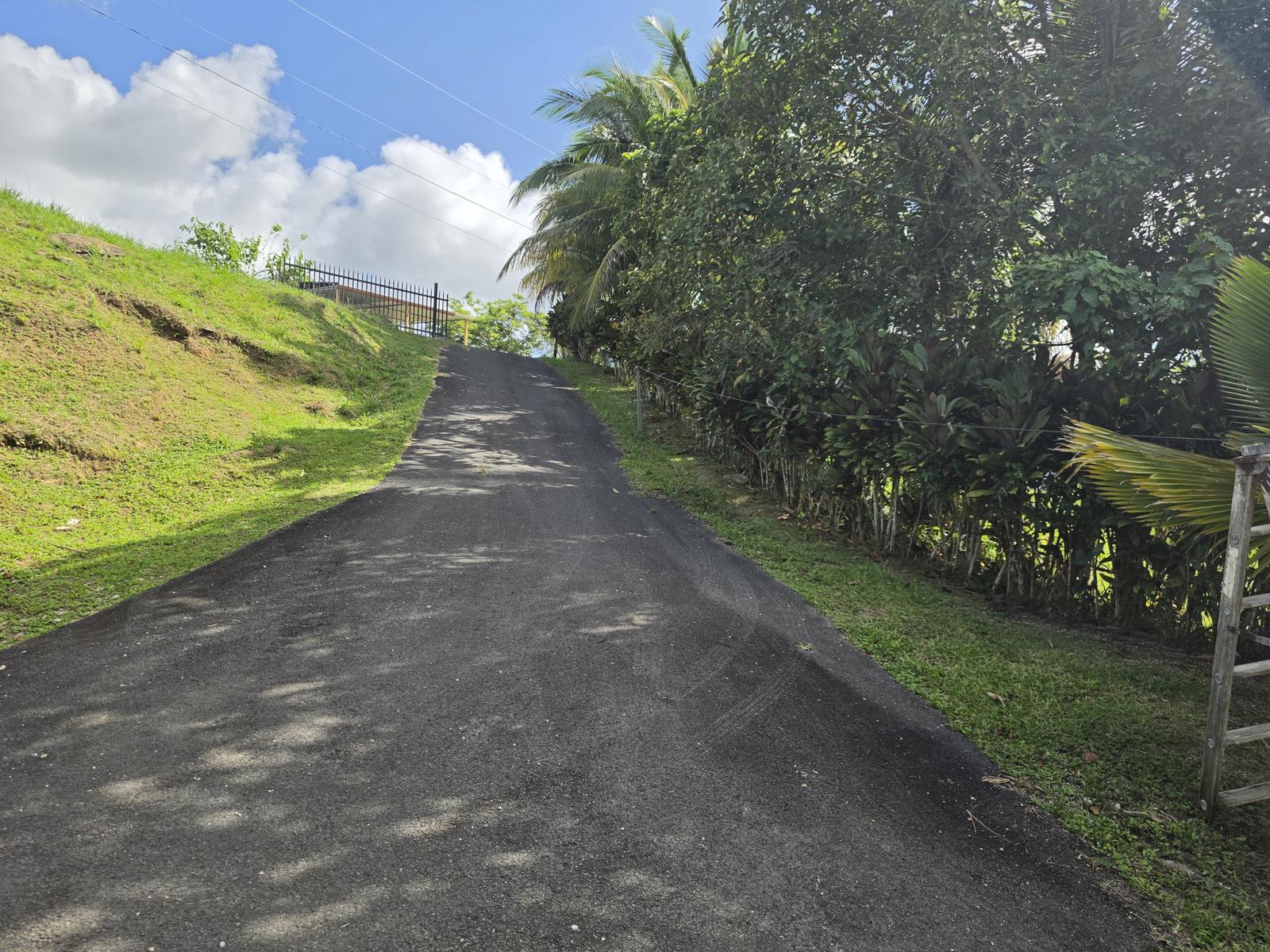 3-Bedroom Residence in the Mountains of Yabucoa – Quebradillas Sector — photo 3