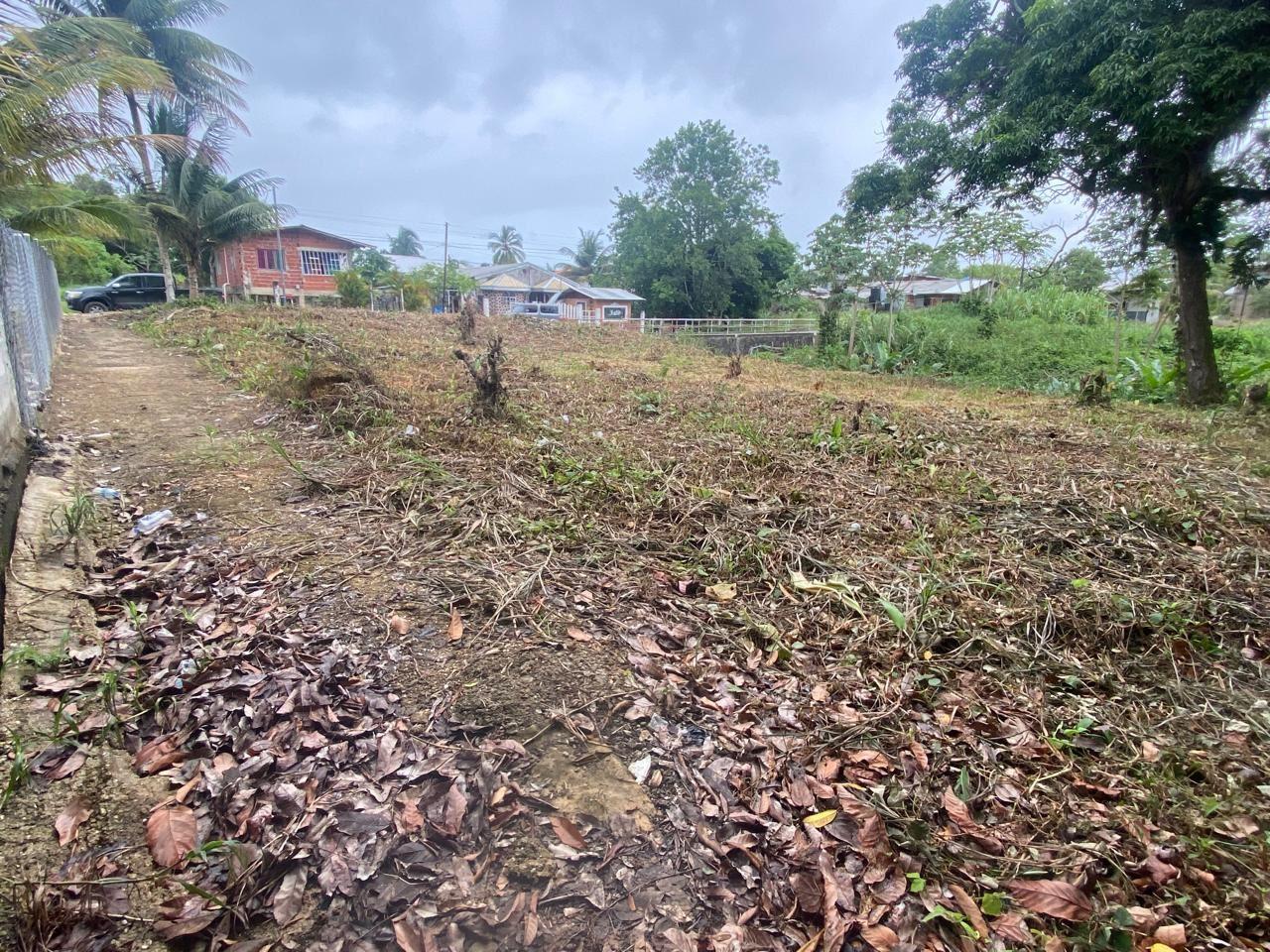 APPROVED SANGRE GRANDE LAND FOR SALE - JEEBODE ROAD, off QUASH TRACE (10,021 sq ft) — photo 4