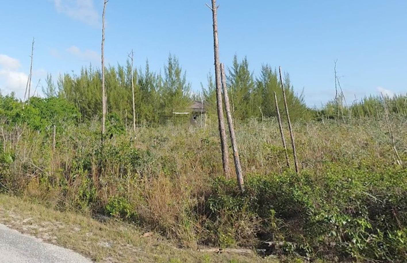 Vacant Lot in Derby Subdivision, Grand Bahama — photo 5