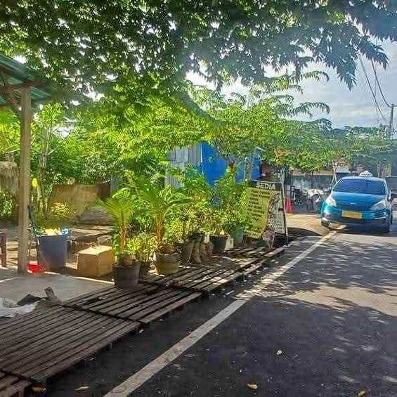 Studio house in Denpasar — photo 1