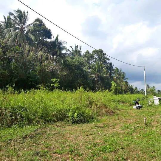 Land plot for sale in Denpasar — photo 1