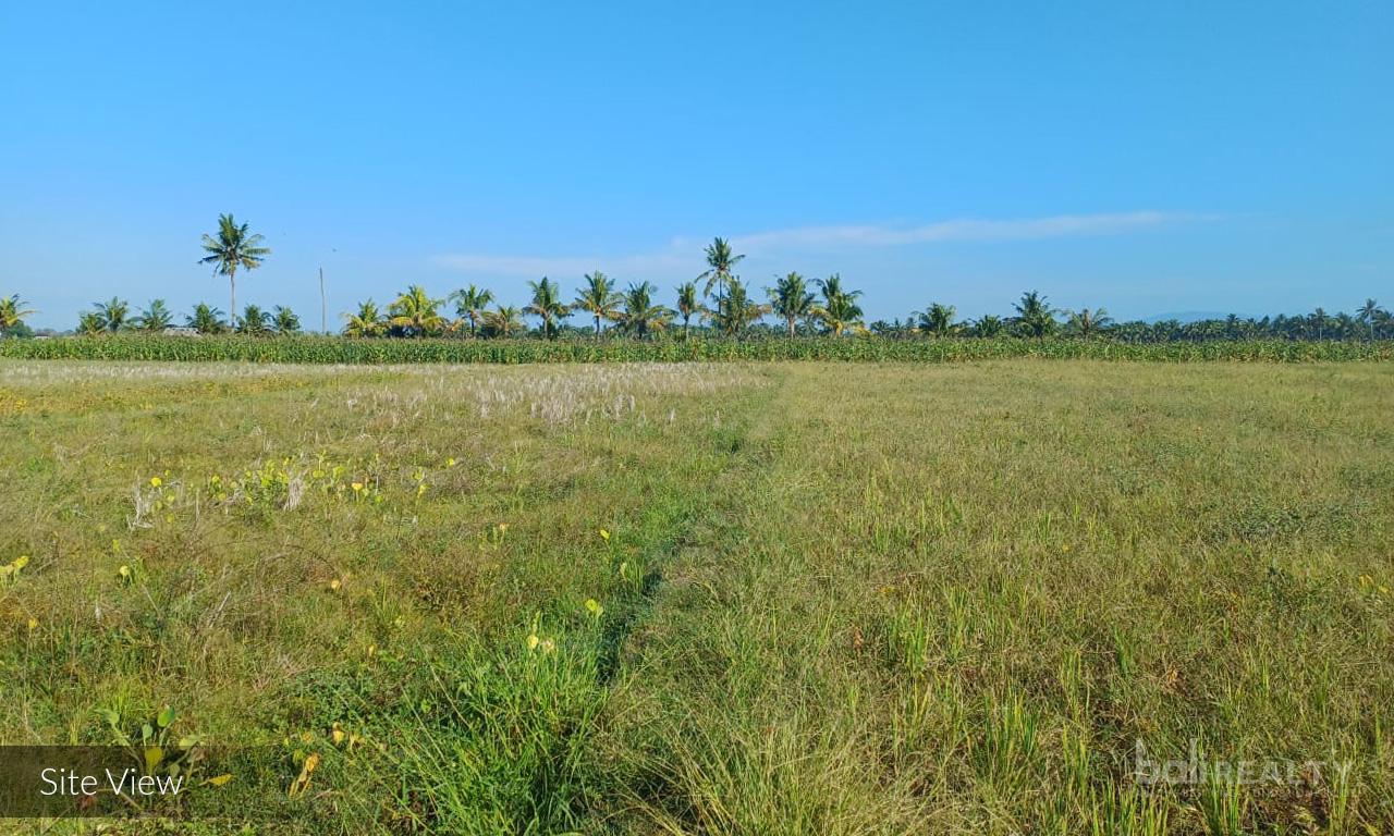 Vast 52.7 ARE Leasehold Land with Stunning Natural Views in Tabanan — photo 5