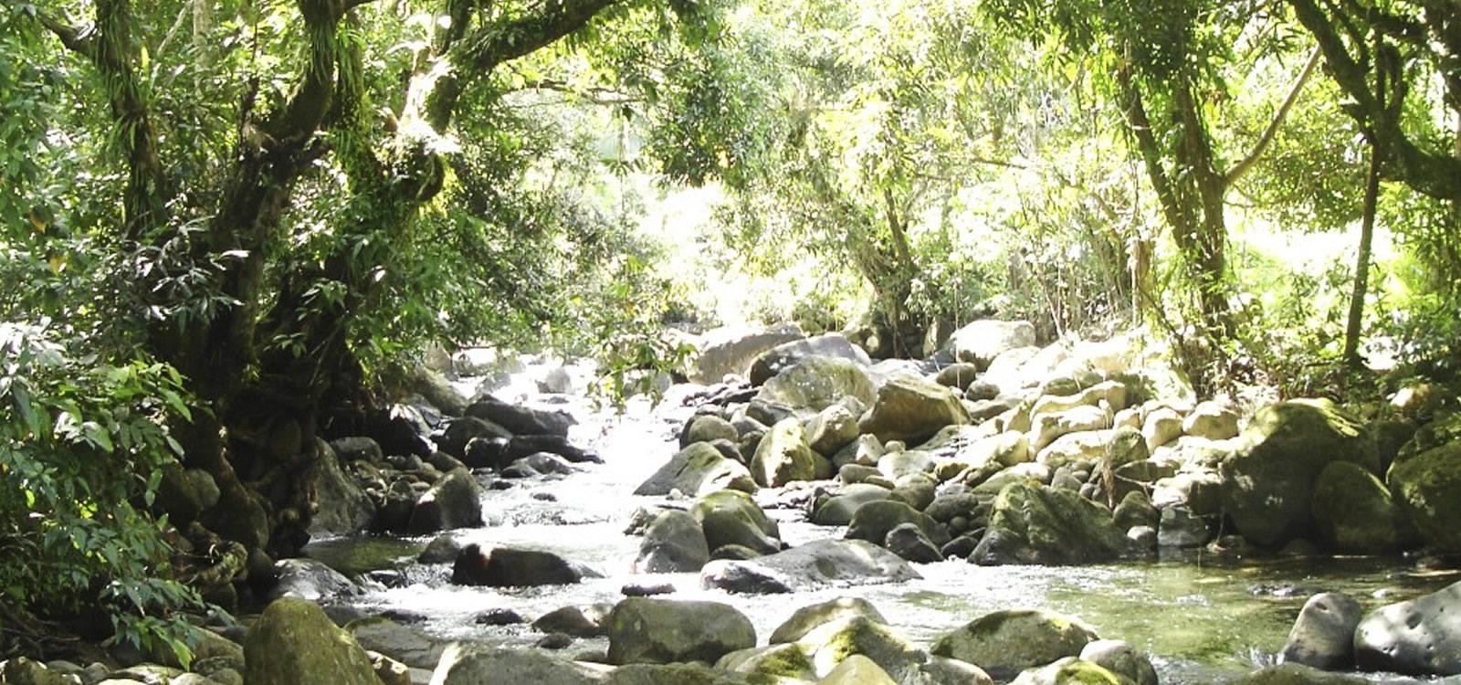 Lots of Land for Sale in Boutique Eco Resort, La Plaine, Dominica — photo 2