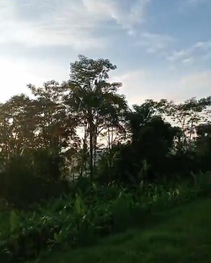 Land Akohara Payangan — photo 1