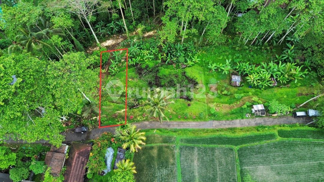 Cheap Land for Sale - Border of Tampaksiring & Tegallalang, Bali — photo 5