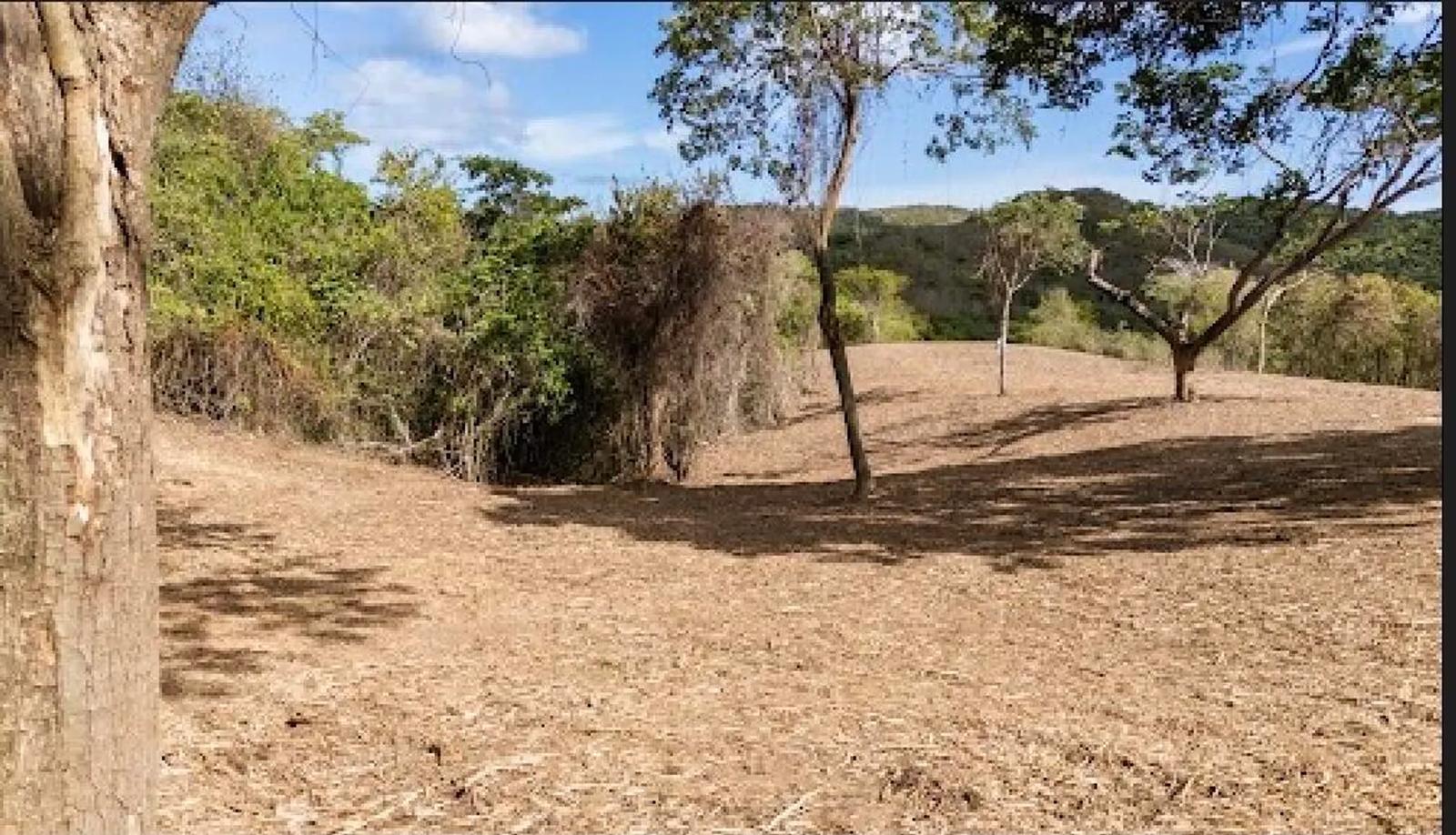 2.06 Acre Lot in St. Croix Rain Forest — photo 4