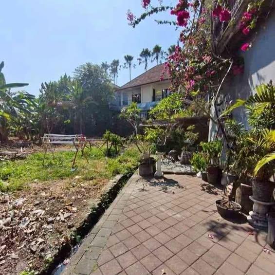 Studio house in Badung — photo 1