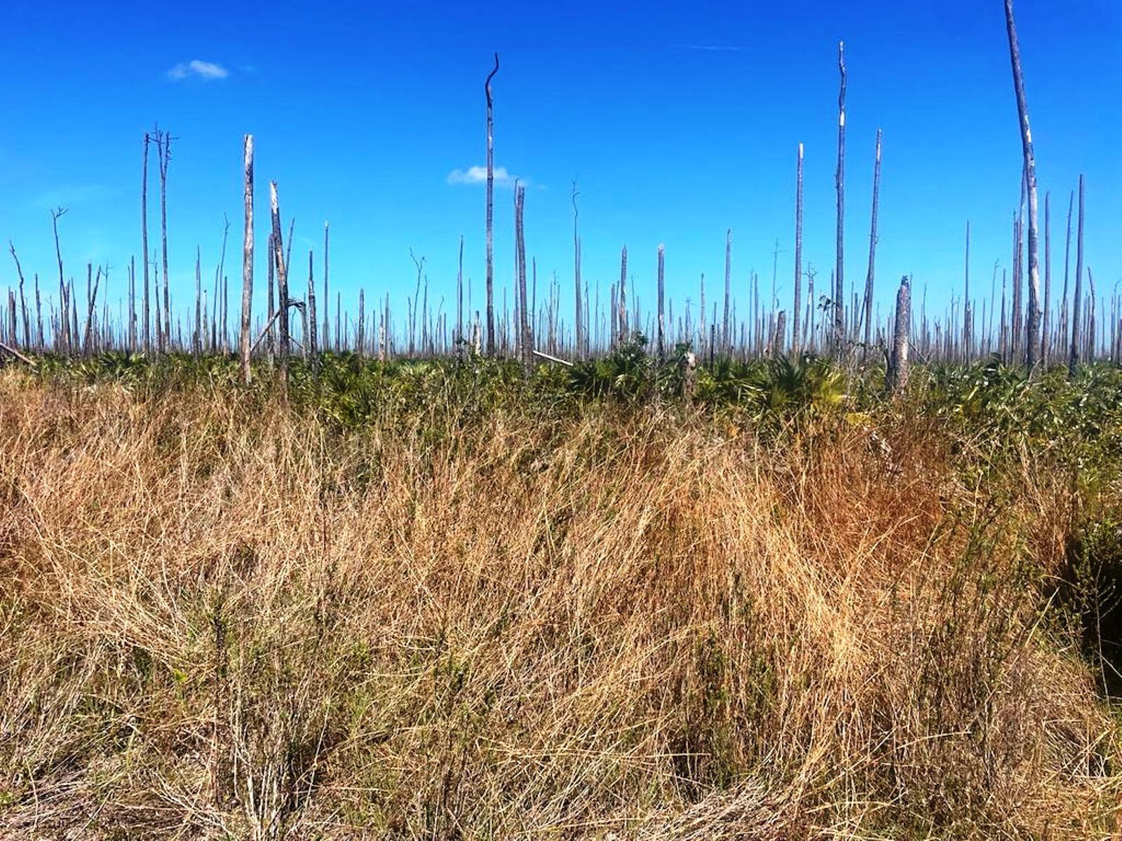 LUCAYA ESTATES LOT — photo 4