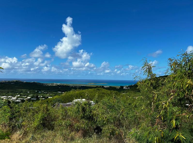 St. Croix Mid-East End 0.61 Acre Lot — photo 2