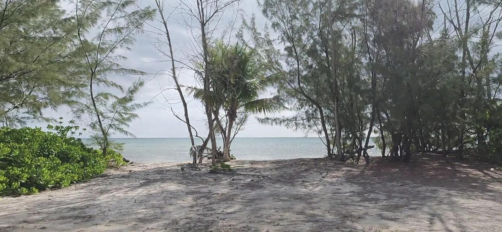 Two Beachfront Lots in Mangrove Cay, Andros — photo 2