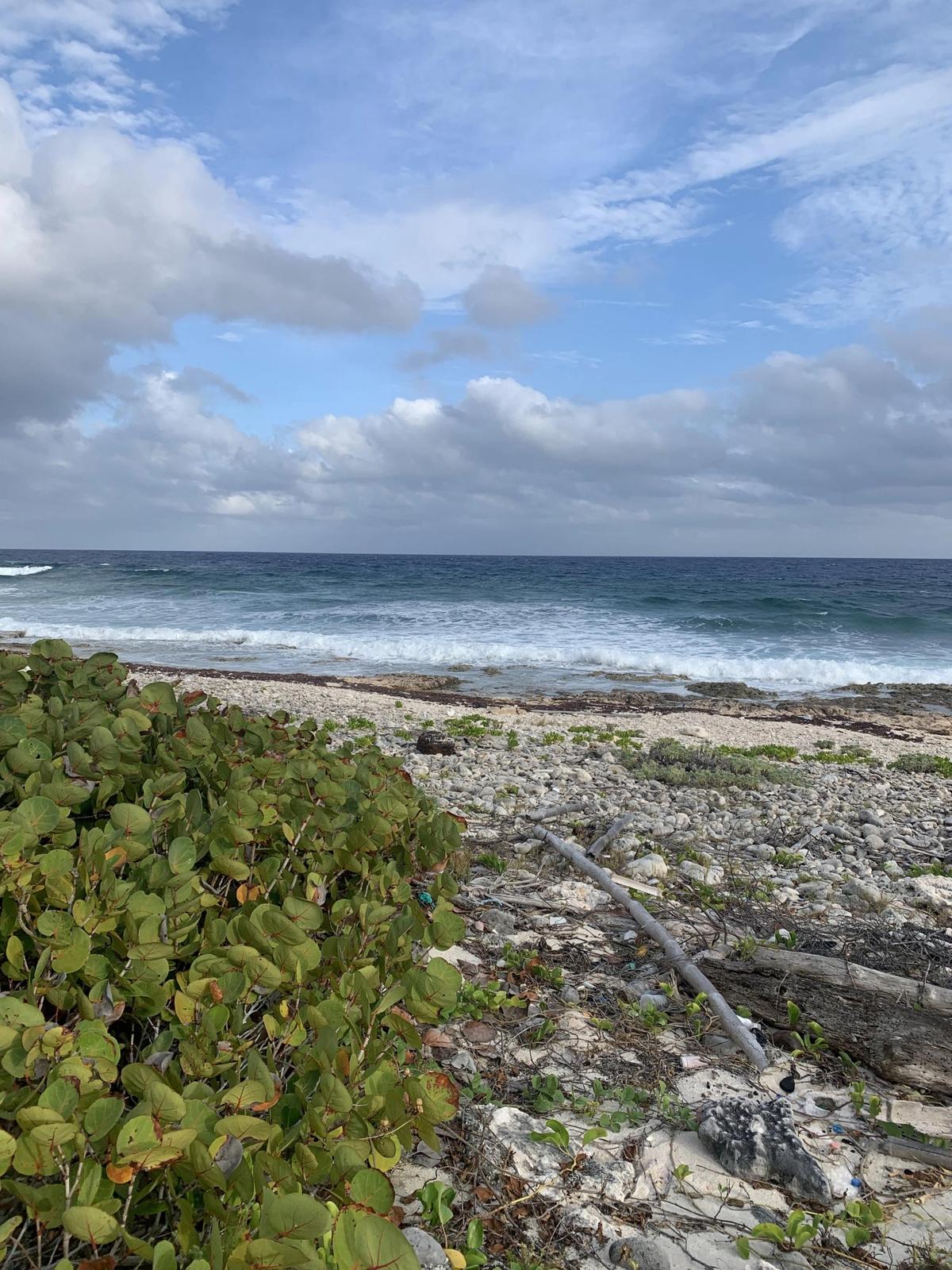 South Side Ocean Front Land — photo 4