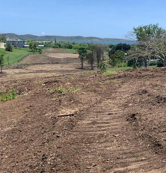 Boqueron 6.5 Acre Opportunity — photo 2