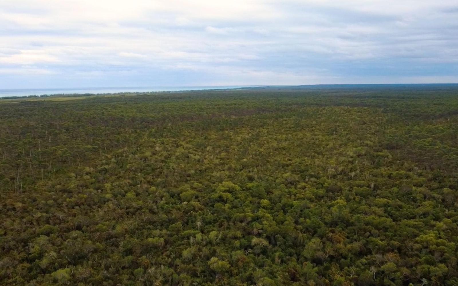 4.685 Acres Development Land — photo 3