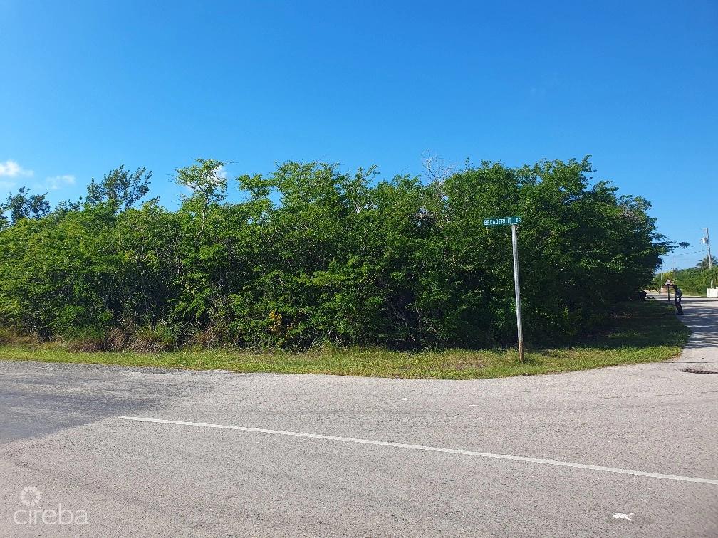 Midland Acres Lot #183 - Cayman Islands — photo 1