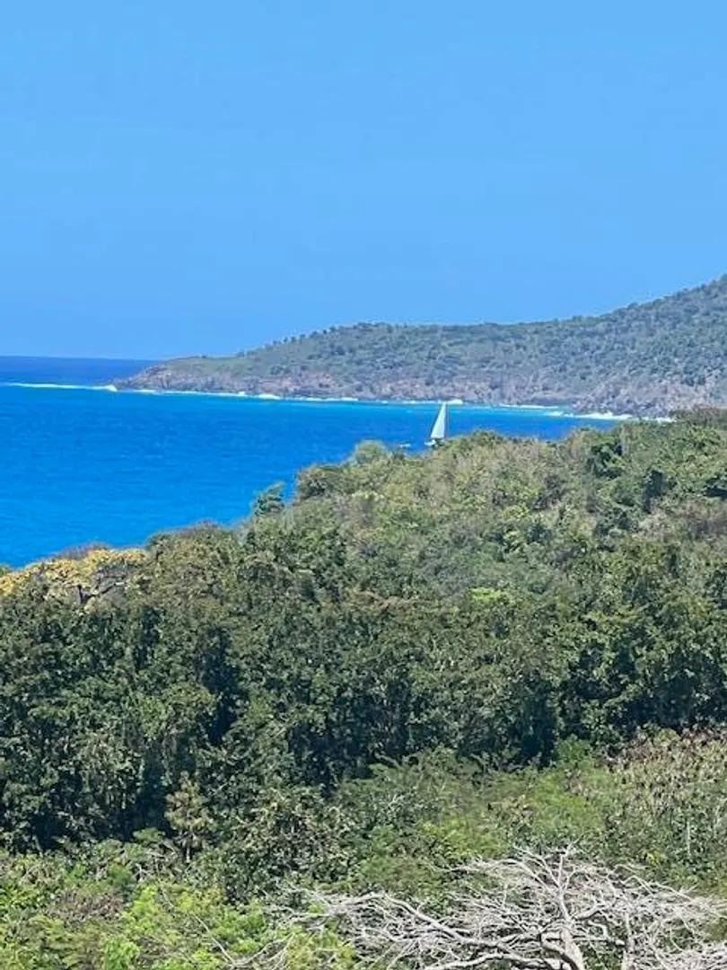 1 Bed Condo for Sale in US Virgin Islands — photo 2