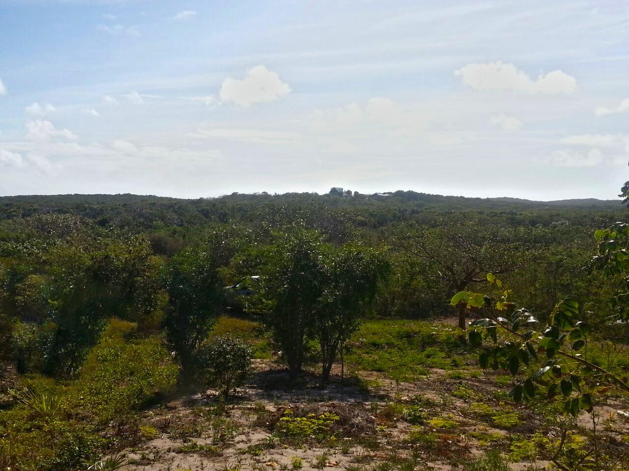 Apartment for sale at CAMPERDOWN BEACH in Cat Island, The Bahamas — photo 5