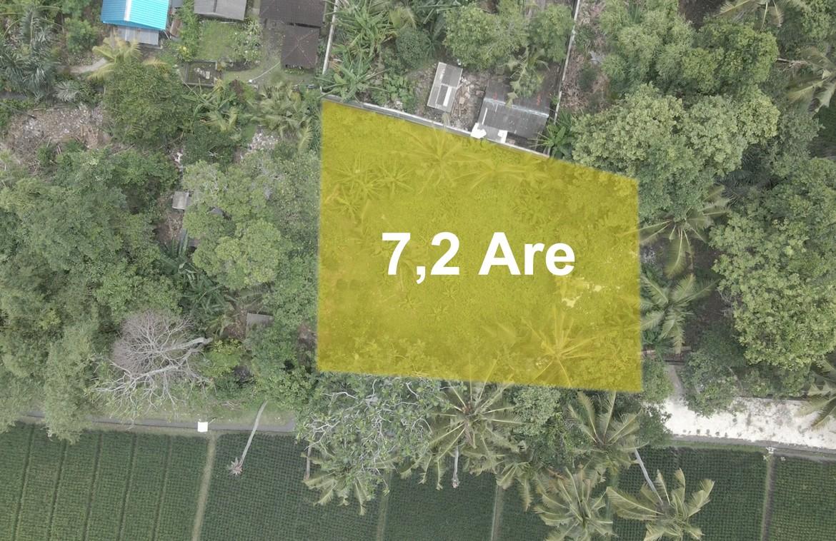 720sqm leasehold plot in rapidly growing Kedungu — photo 2
