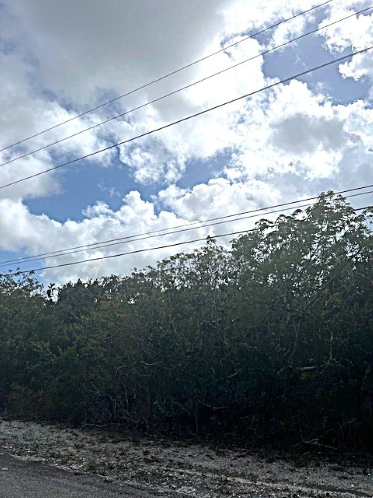 QUEEN’S HIGHWAY, MILEY — photo 3