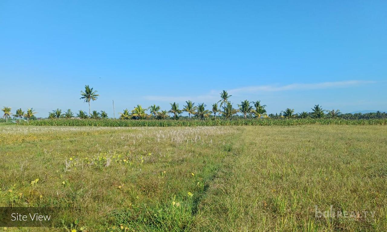 Vast 52.7 ARE Leasehold Land with Stunning Natural Views in Tabanan — photo 3