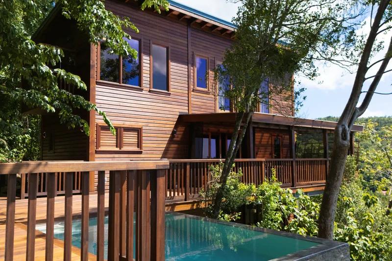 A timber villa deck with a plunge pool set among rainforest trees