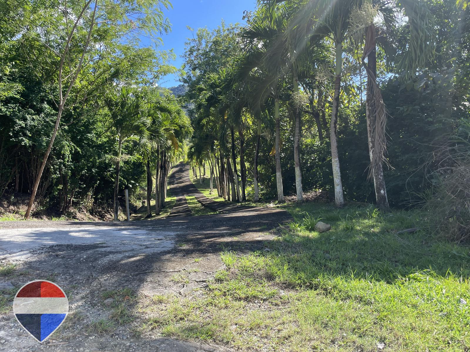 Theodorine Estate: 20-Acre Elevated Sanctuary with Sweeping Caribbean Sea Views — photo 3