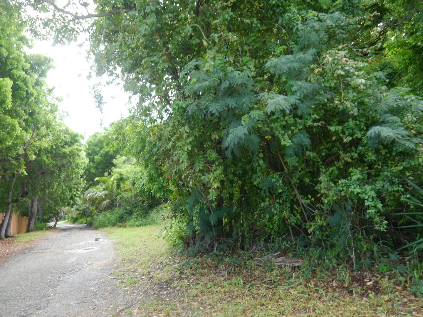 11a Little Princesse Co Homesite — photo 4