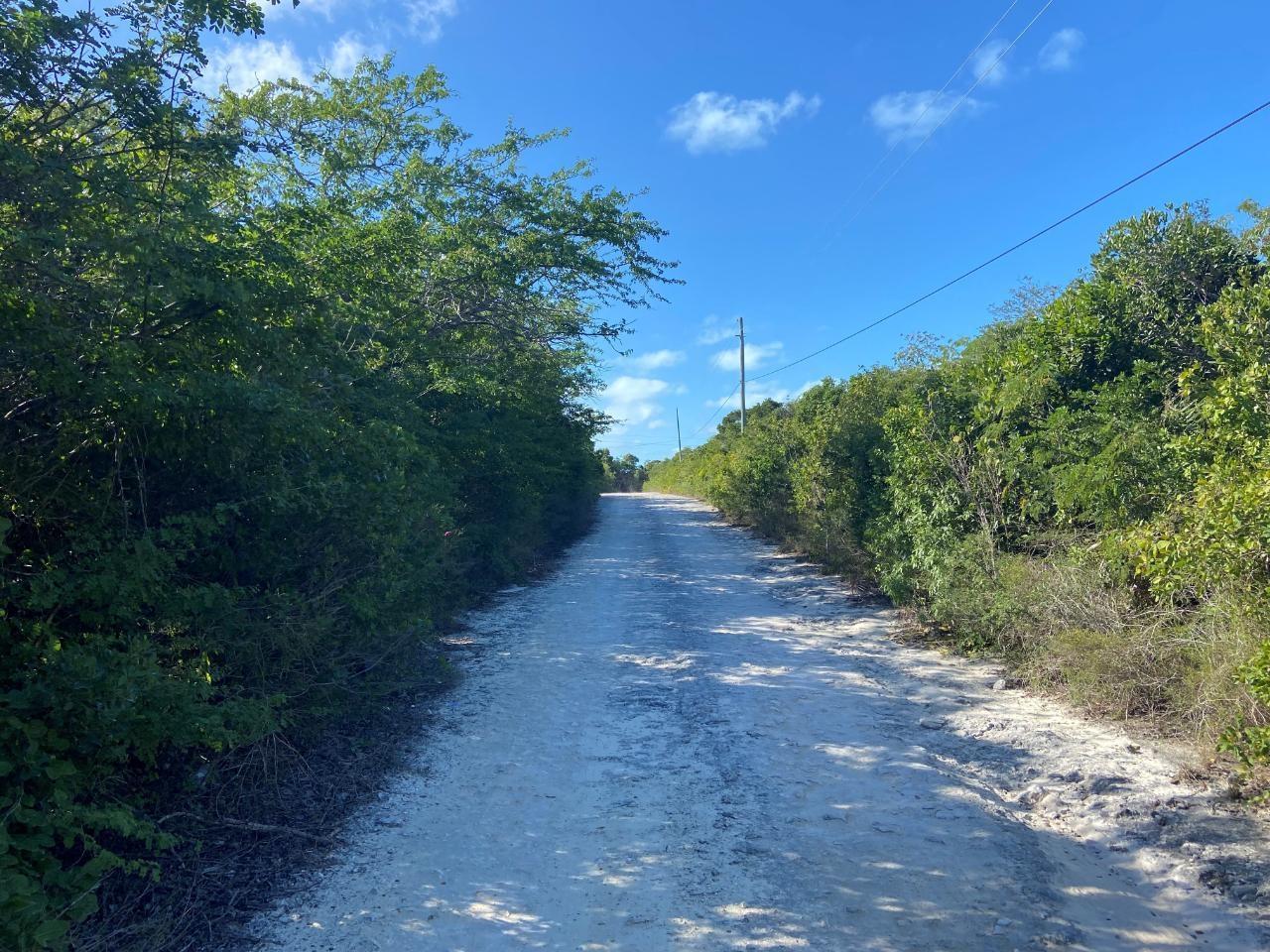 11755 LOBSTER CAY ROAD — photo 5