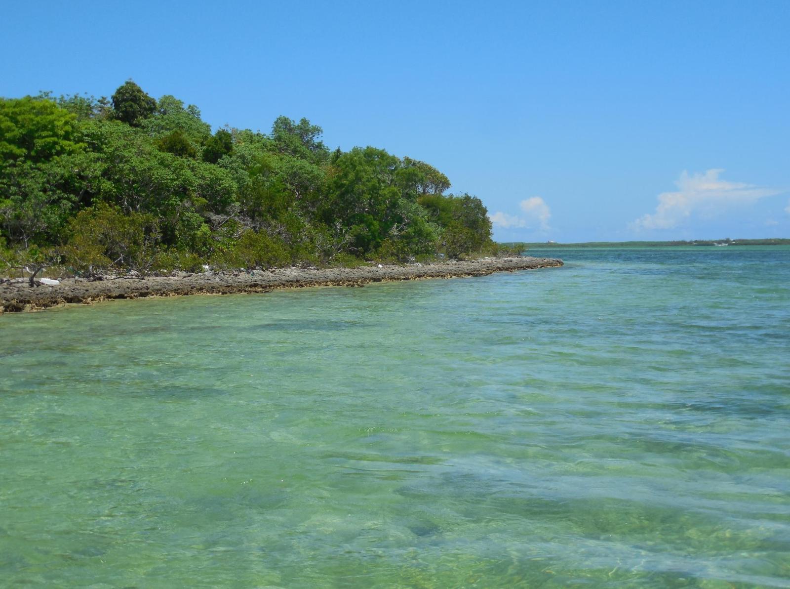 Residence Near Casuarina Point, Abaco Islands — photo 2