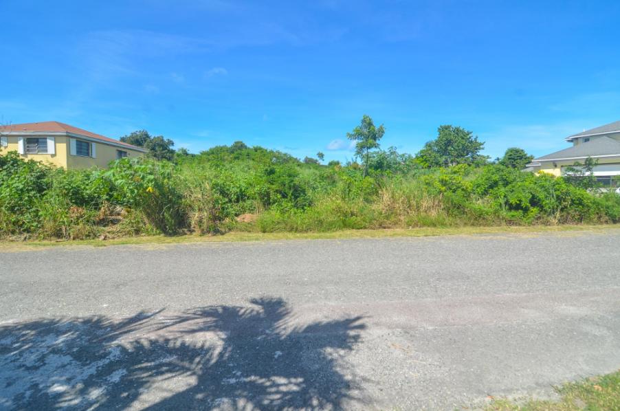 16 Broadfields Road 0.36 Acre Opportunity — photo 4
