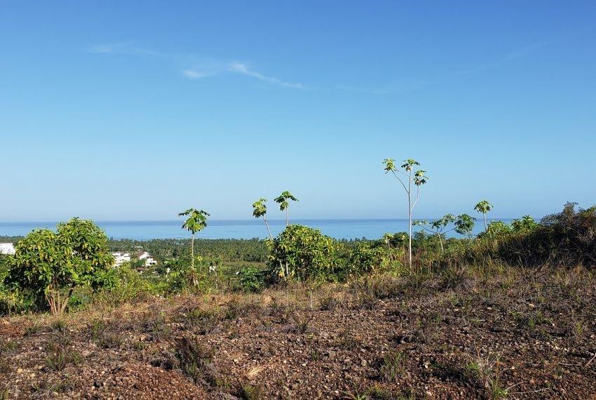 Prime 10,000 m² Ocean-View Development Land for Sale – Palmar de los Nidos, Near Playa Cosón, Las Terrenas — photo 1