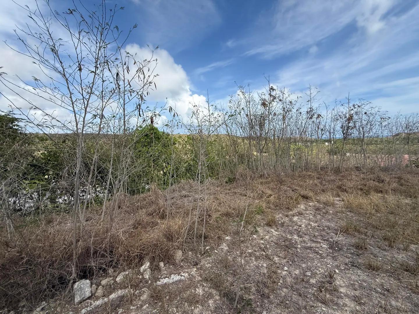138 & 139 V.I. Corp Lands Pr — photo 3