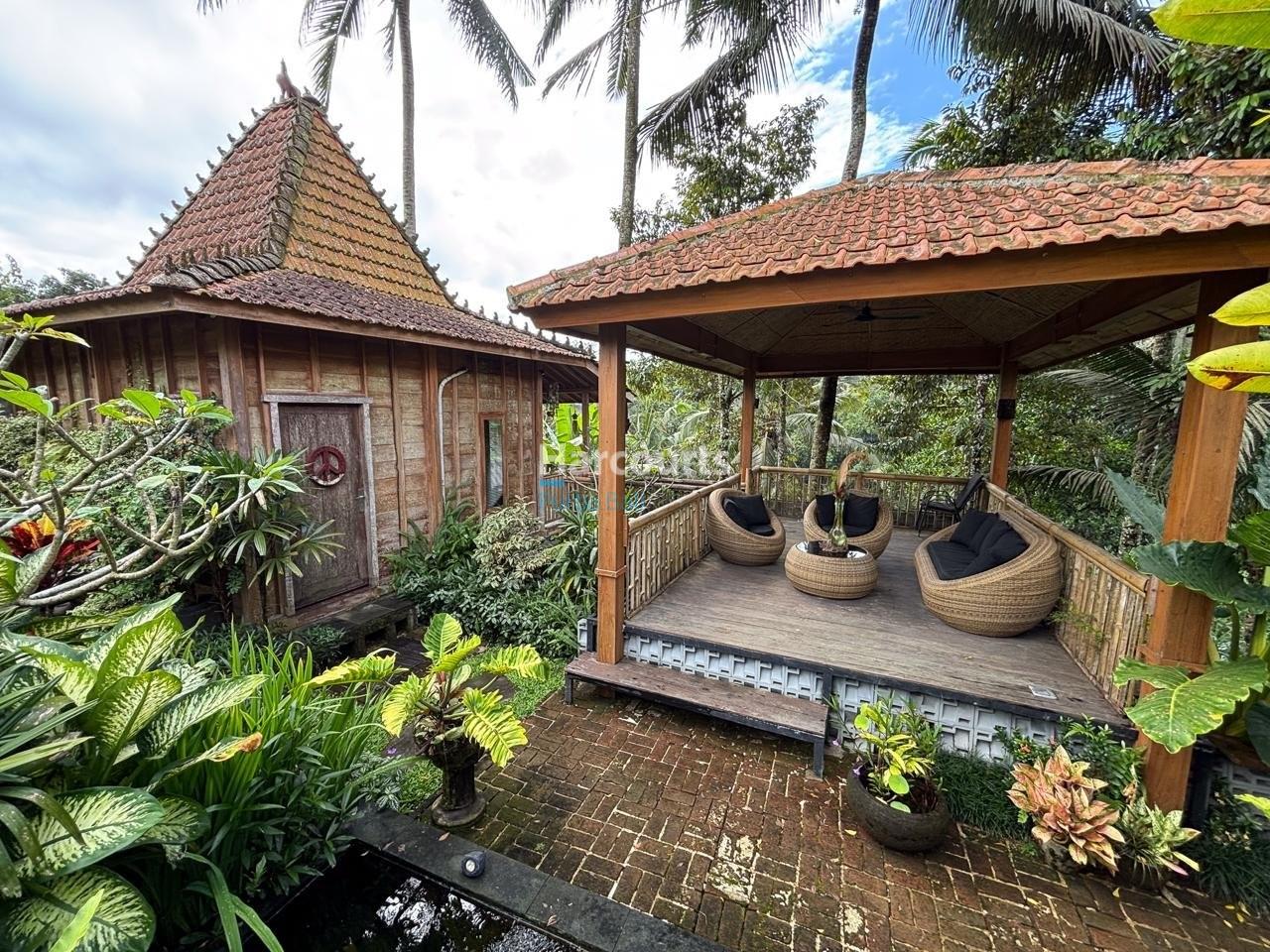Peaceful Freehold Retreat Surrounded by Nature in Payangan, Ubud — photo 5