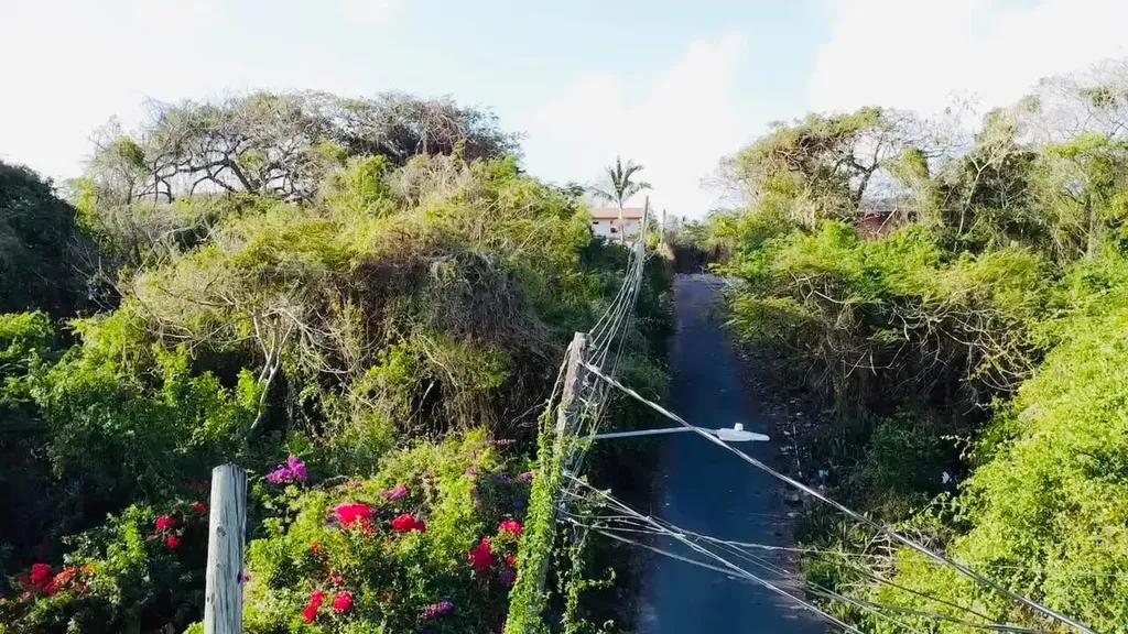 Over 11,000 sq ft land plot in Nassau — photo 4