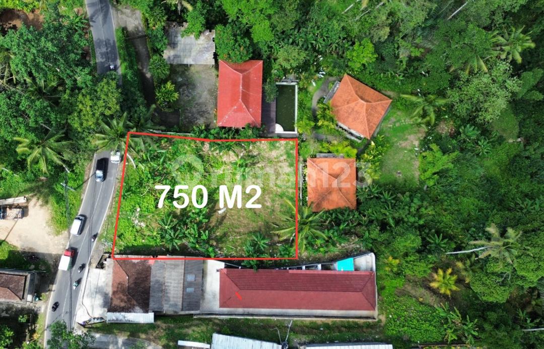 750 sqm land plot in Ubud, close to Capella Ubud — photo 2