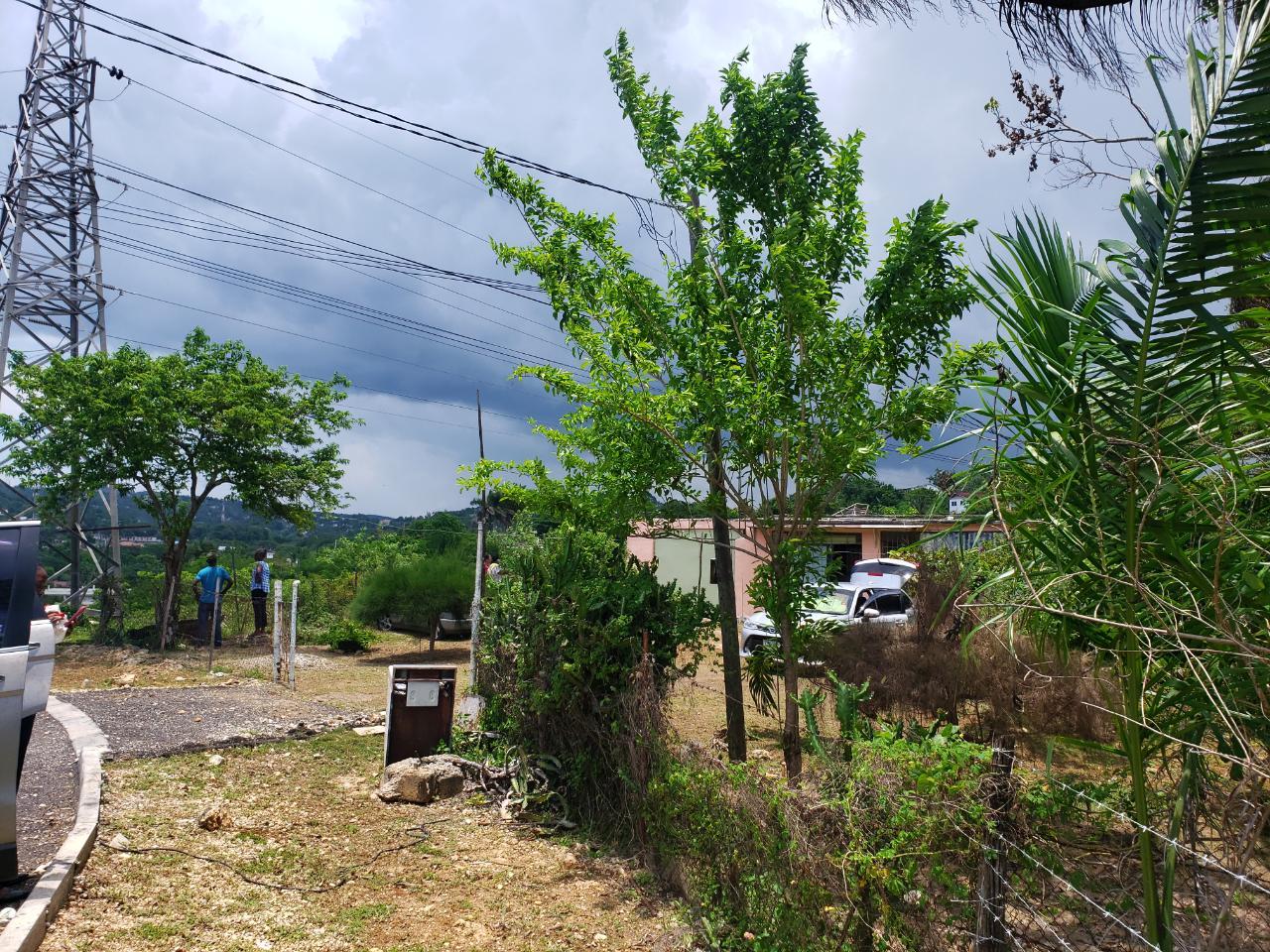 SEAVIEW AVENUE St. James Montego Bay House/Villa for Sale — photo 3