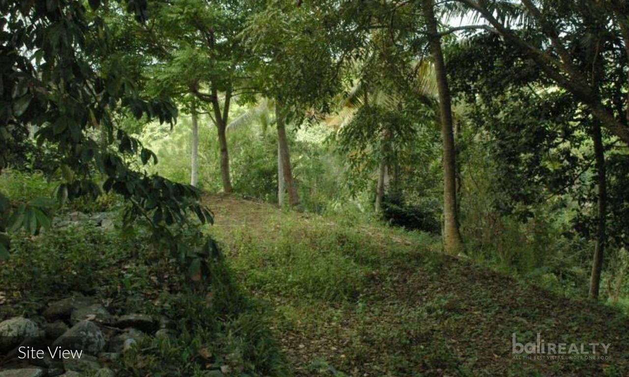 Expansive 2.7 Hectare Freehold Land Ready for Development in Samplangan, Gianyar — photo 4