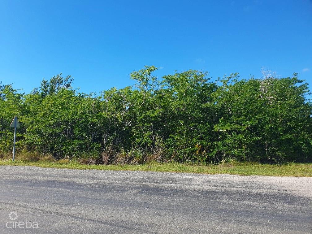 Midland Acres Lot #183 - Cayman Islands — photo 4