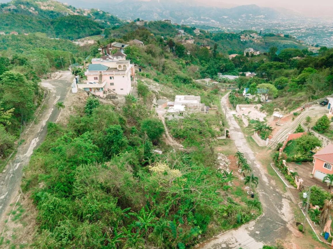 Red Hills Jamaica 0.32 Acre Opportunity — photo 5