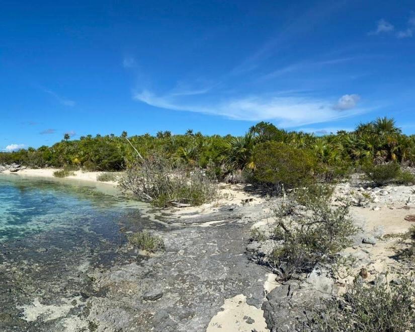 LOT #26, NORMAN’S CAY — photo 4