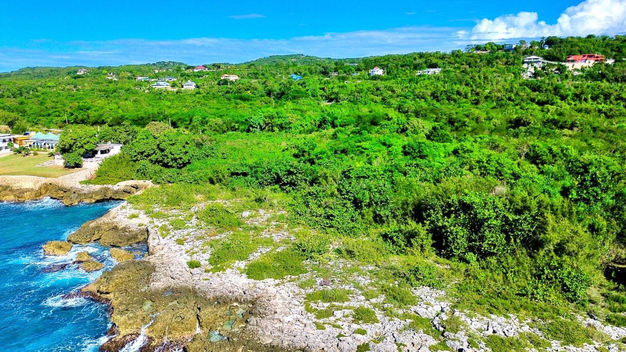 Orange Hill Westmoreland Negril — photo 3