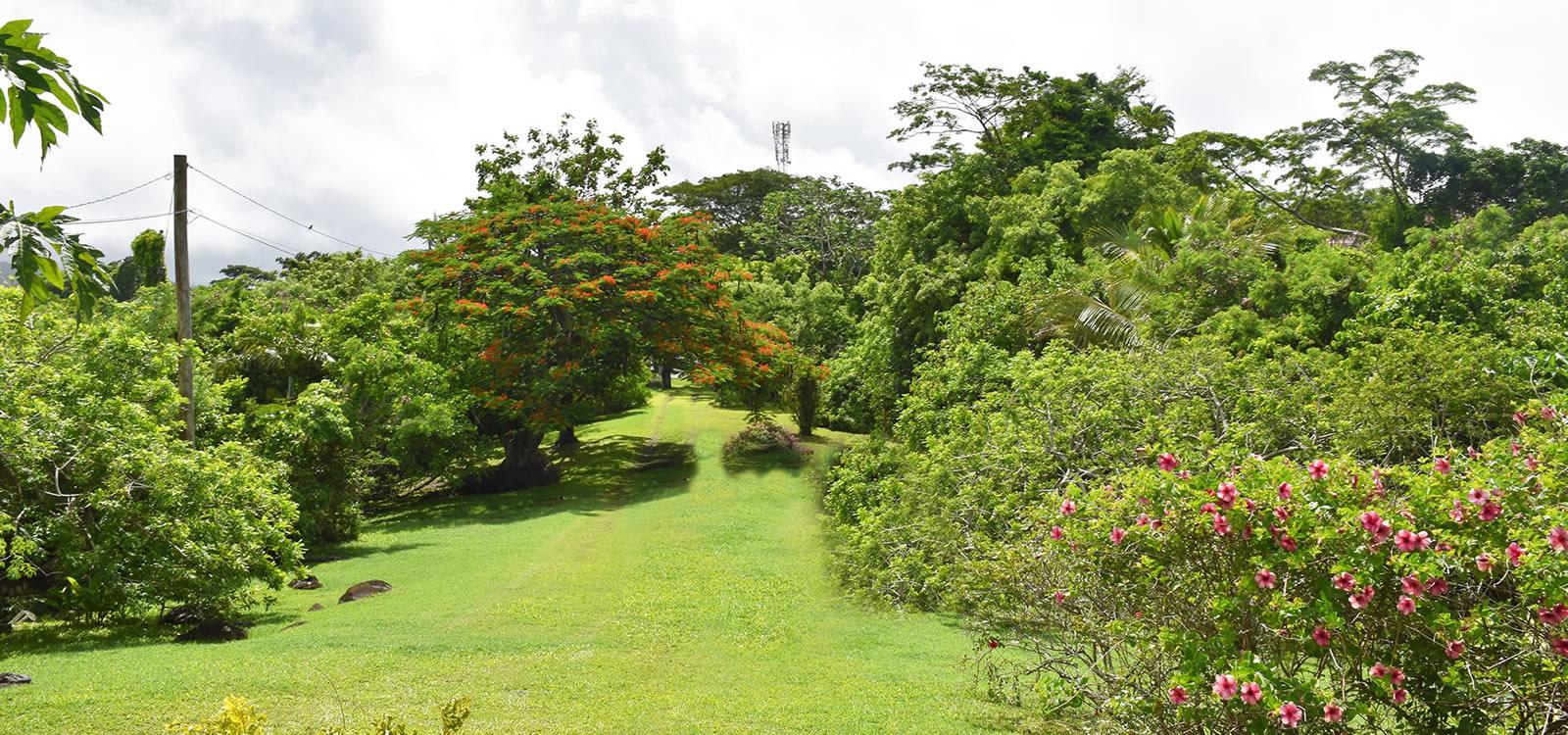 Historic Great House for Sale, Morne Jaloux, Grenada — photo 5
