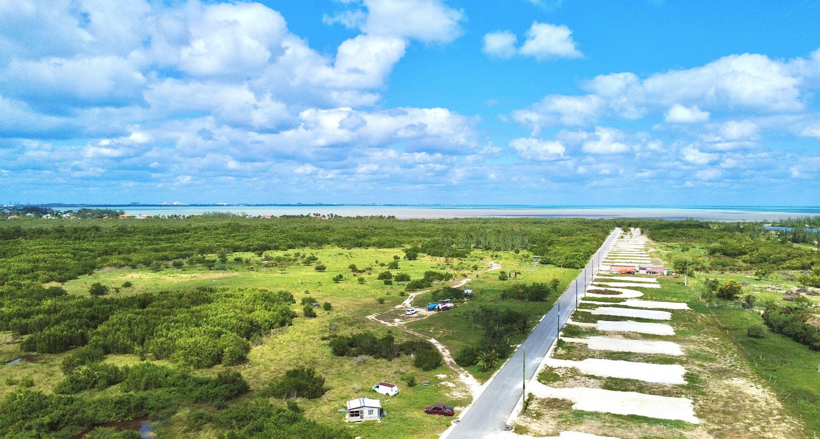 White Orchid - Lot 36 (0.2318 Acre Home Site) — photo 3