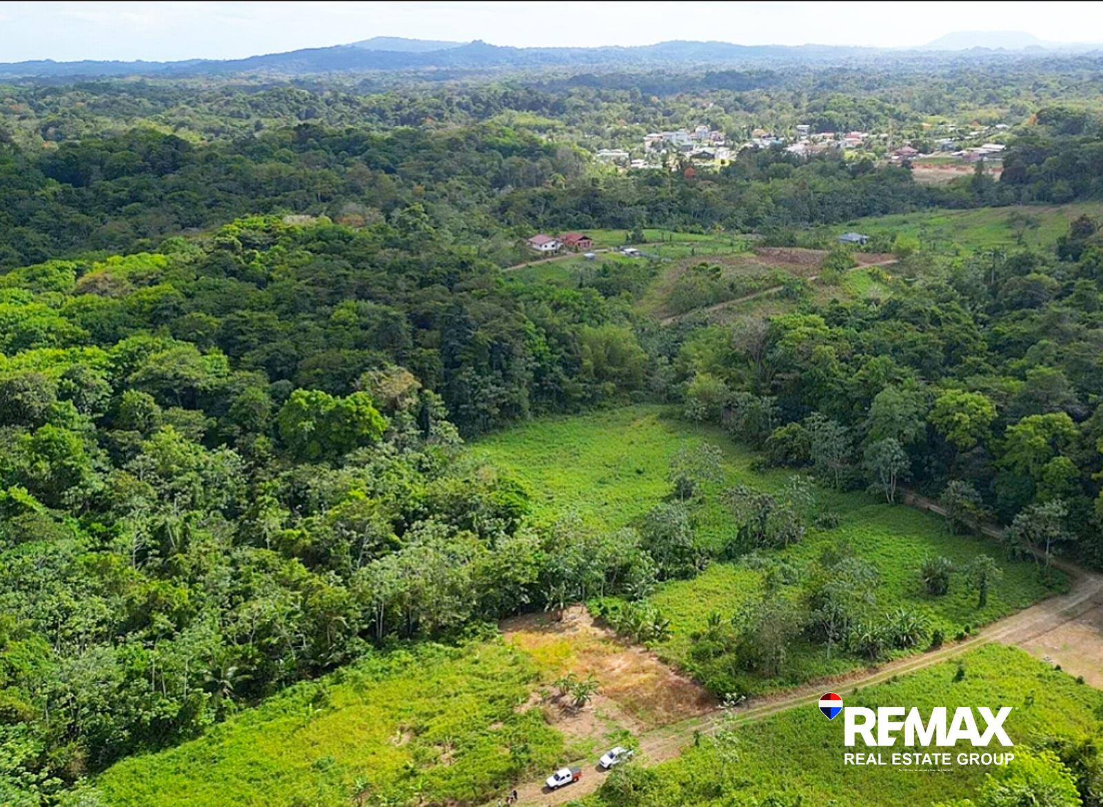 Sangre Grande Chiquito Lot #14 — photo 1