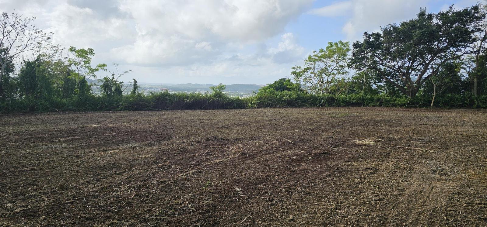 4.58-Acres Residential Development Opportunity with R-I Zoning and Panoramic Ocean, Mountain, and Valley Views in Humacao — photo 5