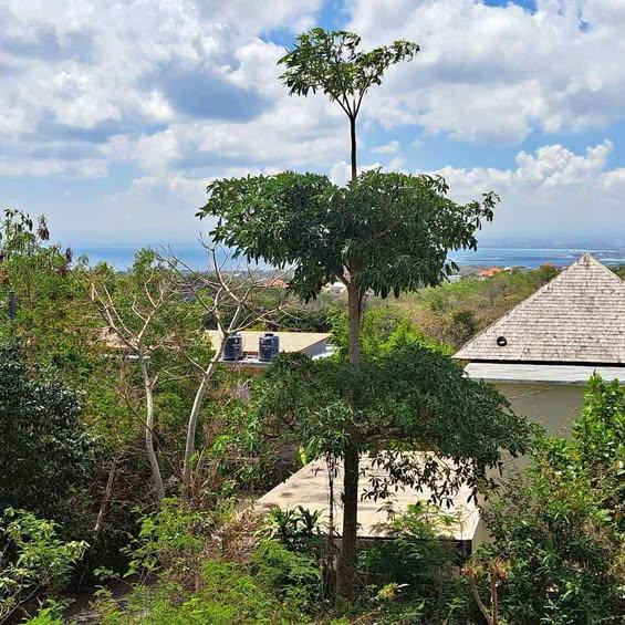 Studio house in Badung — photo 1