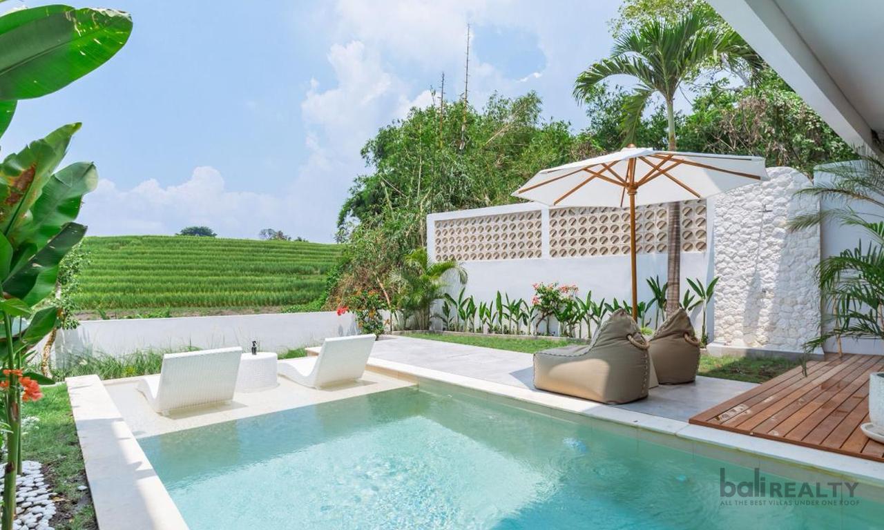 Fully Furnished Two-Bedroom Tropical Villa with Rice Field Views in Buduk’s Developing Area – 2947 — photo 1