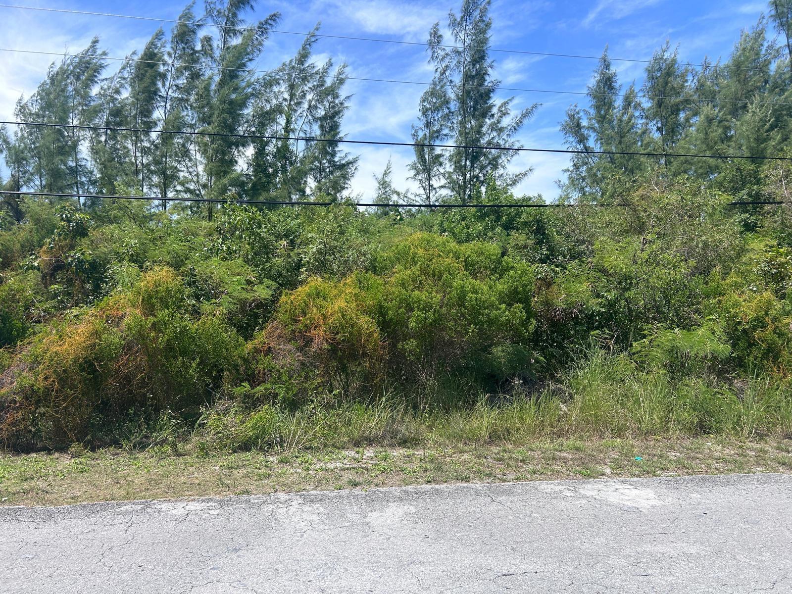 1/2 Acre Multi Family Lot in Nassau — photo 1
