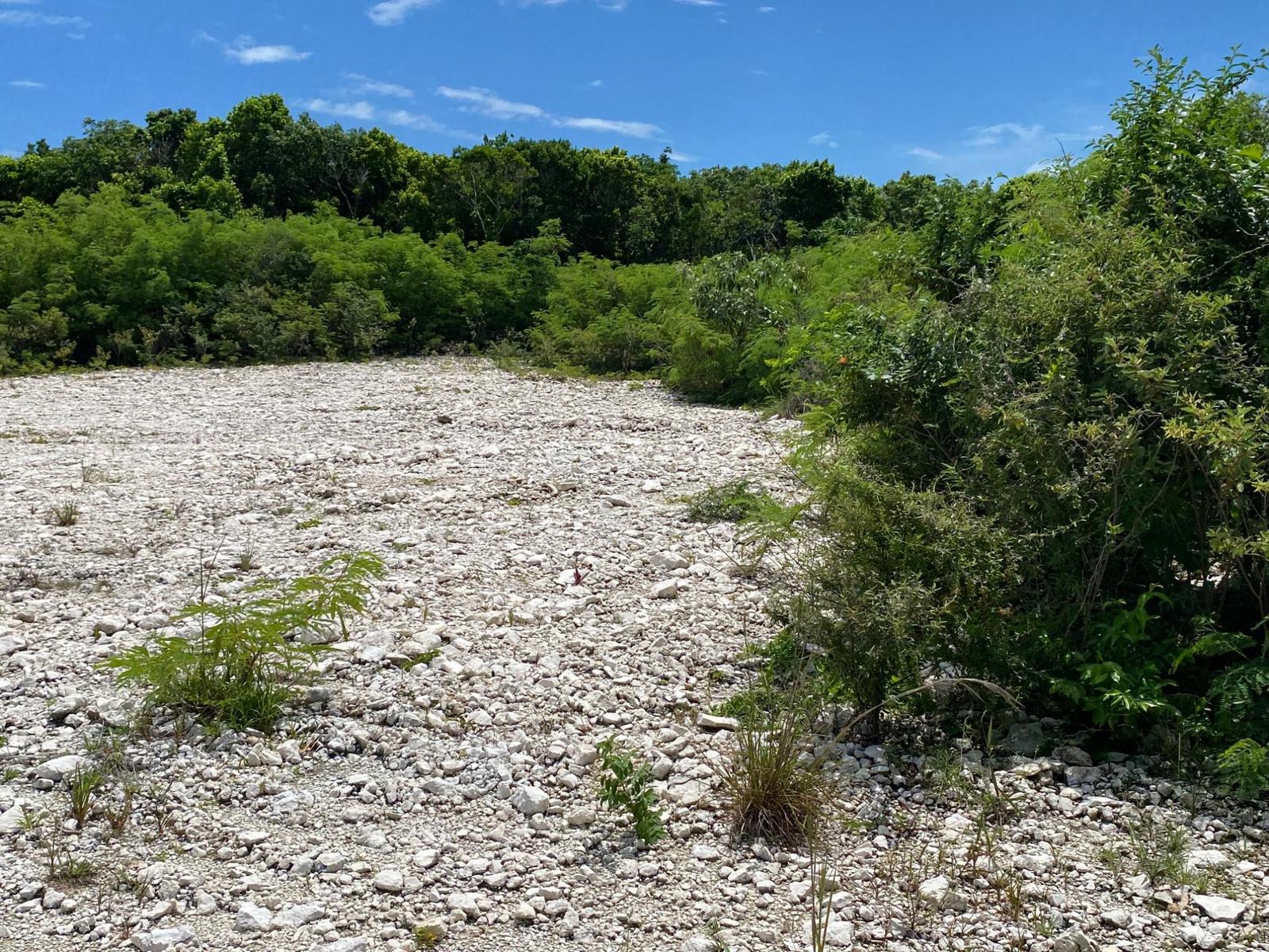 ELEUTHERA ISLAND SHORES — photo 5